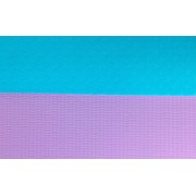 Коврик для йоги и фитнеса EasyFit TPE+TC 6 мм двухслойный мятный-фиолетовый