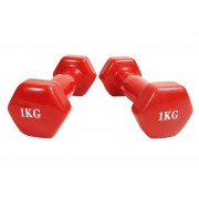 Гантель для фітнесу 1.0 кг EasyFit із вініловим покриттям червона