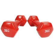 Гантель для фітнесу 2.0 кг EasyFit із вініловим покриттям червона