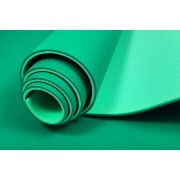 Коврик для йоги и фитнеса EasyFit TPE+TC 6 мм двухслойный зеленый-мятный