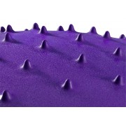 М'яч для фітнесу EasyFit 65 см фіолетовий (фітбол масажний)