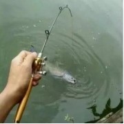 Удочка складная с катушкой и леской, телескопическая, Fishing rod in pen case, блесной, удочка ручка