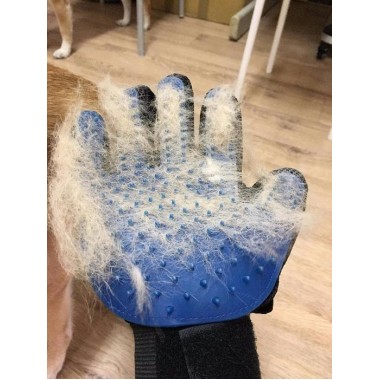 Перчатка для вычесывания шерсти True Touch, Тру Тач, Pet Glove