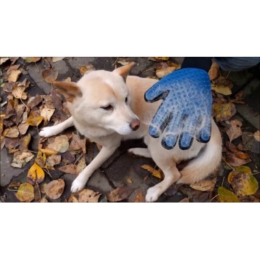 Перчатка для вычесывания шерсти True Touch, Тру Тач, Pet Glove