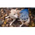 Перчатка для вычесывания шерсти True Touch, Тру Тач, Pet Glove Перчатка для вычесывания шерсти True Touch, Тру Тач, Pet Glove