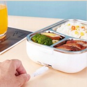 Электрический ланч-бокс с подогревом Электрический 220V/12V DFC-C21 (питание от сети или автомобиля