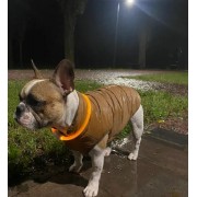 Светодиодный влагостойкий ошейник для собак USB USB Размер S-35 cm M-50 cm L-70 cm