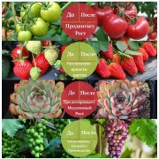 Светодиодная фитолампа для роста растений и рассады ZW-2 Полный спектр 2 головы LED