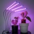 Светильник для выращивания растений, Лампа для роста растений, Подсветка рассады с таймером j22wl-04 LED LIGHT