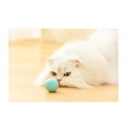Игрушка для кошек Stress Cat / Шарик с силовой гравитацией, который сам катается для котов и котят LY-599