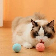 Игрушка для кошек Stress Cat / Шарик с силовой гравитацией, который сам катается для котов и котят LY-599