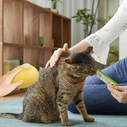 Щетка массажная для ухода за шерстью животных 4 в 1 ПАРОВАЯ Pet comb