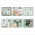 Карусель для зерен настенная с вращением 360° Kitchen Storage Box 6-in-1 кухонный набор для круп с креплением Карусель для зерен настенная с вращением 360° Kitchen Storage Box 6-in-1 кухонный набор для круп с креплением