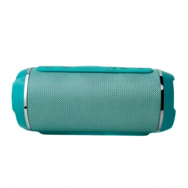 Колонка портативная T&G TG116 Bluetooth FM бирюзовый
