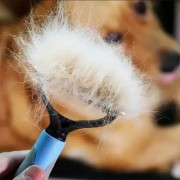 Двусторонняя расческа для вычесывания шерсти кошек и собак AND217