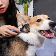 Двусторонняя расческа для вычесывания шерсти кошек и собак AND217