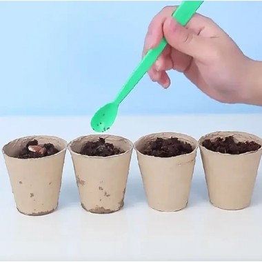 Набор для опытов домашняя теплица Home made plant Игровой набор теплица для выращивания растений с семенами Набор для опытов домашняя теплица Home made plant Игровой набор теплица для выращивания растений с семенами