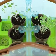 Набор для опытов домашняя теплица Home made plant Игровой набор теплица для выращивания растений с семенами
