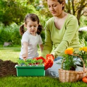 Мини парник для выращивания семян рассады с регулировкой влажности