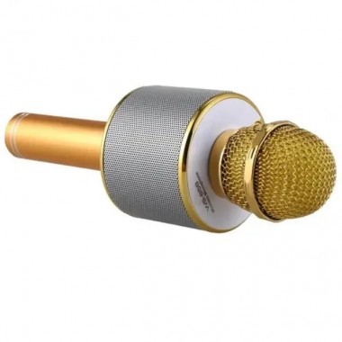 УЦЕНКА! Микрофон WSTER WS-858 Bluetooth USB AUX FM GOLD (Плохая упаковка, ржавчина на корпусе 3172)