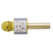УЦЕНКА! Микрофон WSTER WS-858 Bluetooth USB AUX FM GOLD (Плохая упаковка, ржавчина на корпусе 3172)