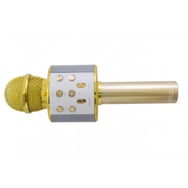 УЦЕНКА! Микрофон WSTER WS-858 Bluetooth USB AUX FM GOLD (Плохая упаковка, ржавчина на корпусе 3172)