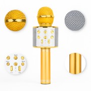 УЦЕНКА! Микрофон WSTER WS-858 Bluetooth USB AUX FM GOLD (Плохая упаковка, ржавчина на корпусе 3172)