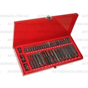 Набор бит 41 шт. (SPLINE,TORX , RIBE) НБ-3841 Alloid