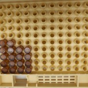 Система для вывода пчелиных маток Nicot на 110 ячеек