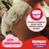 Подгузники Huggies Little Movers/Pants 3 Mega 6-11 кг для девочек 58 шт (5029053547480) Подгузники Huggies Little Movers/Pants 3 Mega 6-11 кг для девочек 58 шт (5029053547480)