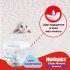 Подгузники Huggies Pants 4 (9-14 кг) для мальчиков 72 шт (5029053564104)