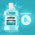 Ополаскиватель для полости рта Listerine Свежая мята Мягкий вкус 1000 мл (3574661011394/3574661619927) Ополаскиватель для полости рта Listerine Свежая мята Мягкий вкус 1000 мл (3574661011394/3574661619927)