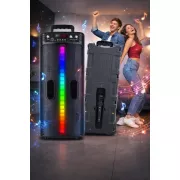 Портативная беспроводная Bluetooth колонка-караоке TTD-2806 RGB-подсветка, микрофон, пульт ДУ