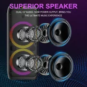 Беспроводная караоке-колонка с двумя микрофонами SPS ZQS10209