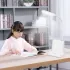 Розовая Аккумуляторная Настольная LED лампа Bionic Desk Lamp c USB выходом, органайзером и подставкой для смартфона Розовая Аккумуляторная Настольная LED лампа Bionic Desk Lamp c USB выходом, органайзером и подставкой для смартфона