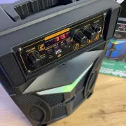 Колонка портативная Bluetooth Wireless Speaker TTD-8243