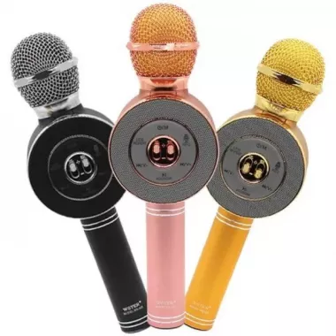 Караоке мікрофон Wster WS-669 бездротовий мікрофон із вбудованим динаміком