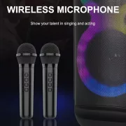 Беспроводная караоке-колонка с двумя микрофонами SPS ZQS8288