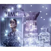 Гирлянда роса нить светодиодная 3 м на батарейках для дома