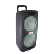 Портативная колонка Su-Kam 1010 + 2 микрофона + BT 12v220v