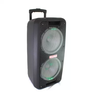Портативная колонка Su-Kam 1010 + 2 микрофона + BT 12v220v Портативная колонка Su-Kam 1010 + 2 микрофона + BT 12v220v