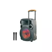 Портативная колонка с двумя радиомикрофонами Su‑Kam SU 615