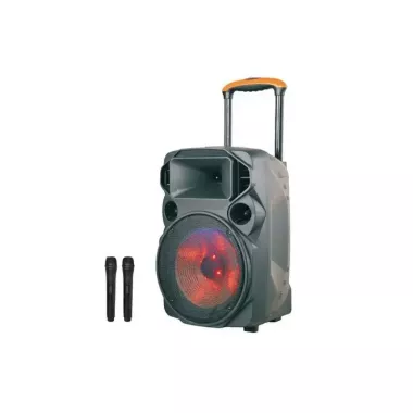 Портативная колонка с двумя радиомикрофонами Su‑Kam SU 615