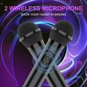 Беспроводная караоке-колонка с двумя микрофонами SPS ZQS10209
