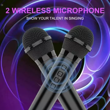 Беспроводная караоке-колонка с двумя микрофонами SPS ZQS10209