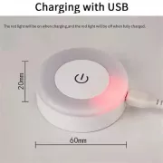 Лампа світильник нічник LED SK / Сенсорний перемикач MicroUSB Білий