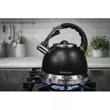 Чайник с гранитным покрытием со свистком Haus Roland HR 704-5 3,5 л из нержавеющей стали Черный