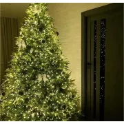 Світлодіодна гірлянда Роса 200 метрів, діоди теплого білого кольору на зеленому дроті, 2000 LED, з пультом керування