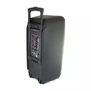 Портативная колонка Su-Kam 1010 + 2 микрофона + BT 12v220v