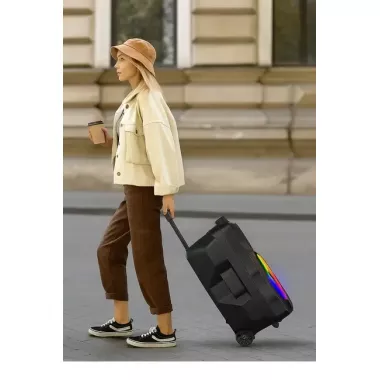 Бездротова караоке-колонка із двома мікрофонами SPS ZQS15123